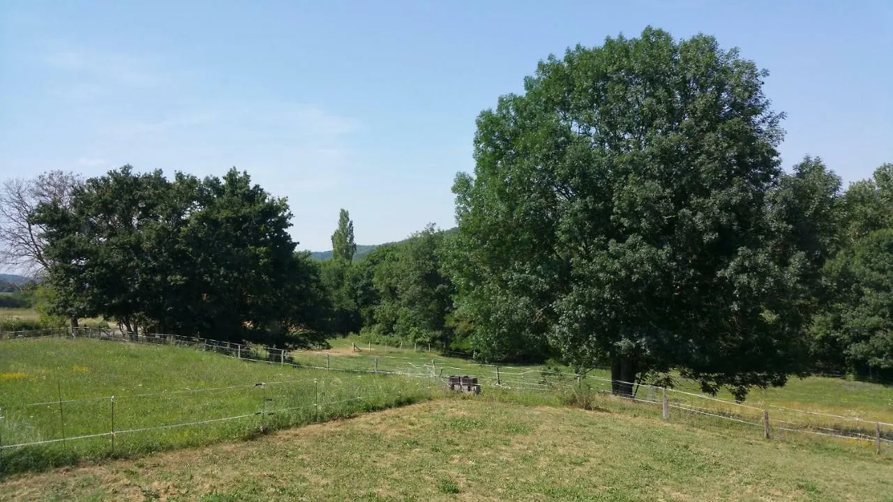 Gite Complex Near Mirepoix In The Pyrenees Limbrassac 度假居